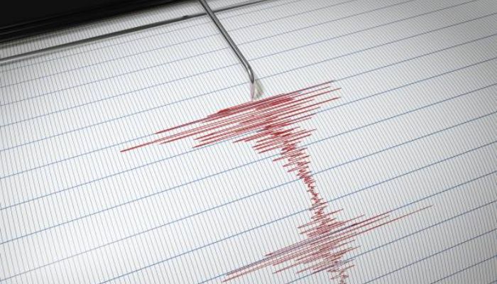 Aplicativo de Detector terremotos - fique atento de qualquer lugar