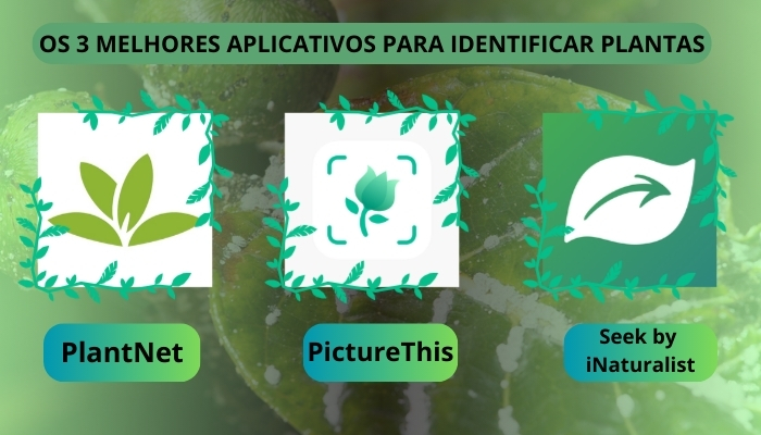 Aplicativo de Identificar plantas e doenças,fungos,bichos 2024